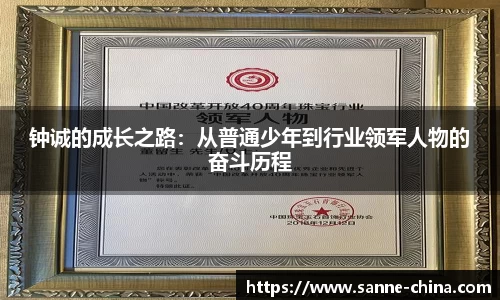 钟诚的成长之路：从普通少年到行业领军人物的奋斗历程
